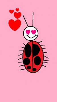 love bug