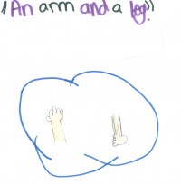 an arm and a leg
